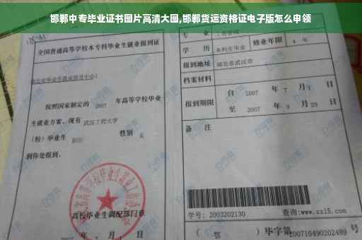 邯郸中专毕业证书图片高清大图,邯郸货运资格证电子版怎么申领