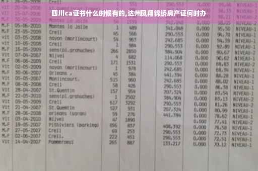 四川ca证书什么时候有的,达州凤翔锦绣房产证何时办
