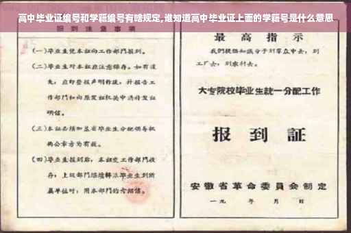 高中毕业证编号和学籍编号有啥规定,谁知道高中毕业证上面的学籍号是什么意思