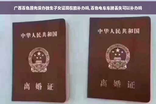 广西百色原先没办独生子女证现在能补办吗,百色电车车牌丢失可以补办吗