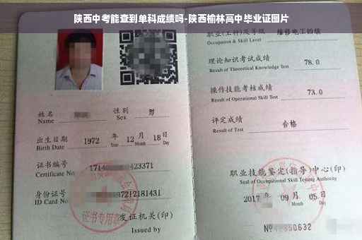 陕西中考能查到单科成绩吗-陕西榆林高中毕业证图片