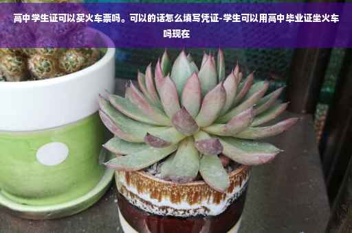 高中学生证可以买火车票吗。可以的话怎么填写凭证-学生可以用高中毕业证坐火车吗现在