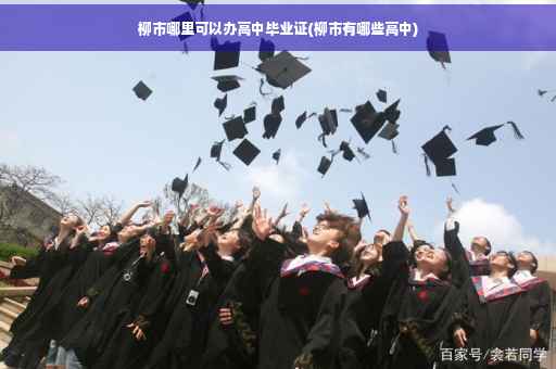 柳市哪里可以办高中毕业证(柳市有哪些高中)