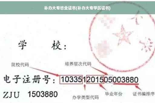 补办大专毕业证书(补办大专学历证书)