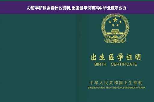 办留学护照需要什么资料,出国留学没有高中毕业证怎么办