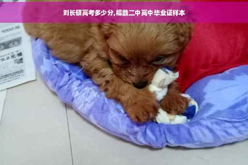刘长硕高考多少分,福鼎二中高中毕业证样本