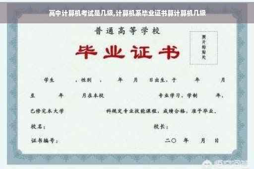高中计算机考试是几级,计算机系毕业证书算计算机几级