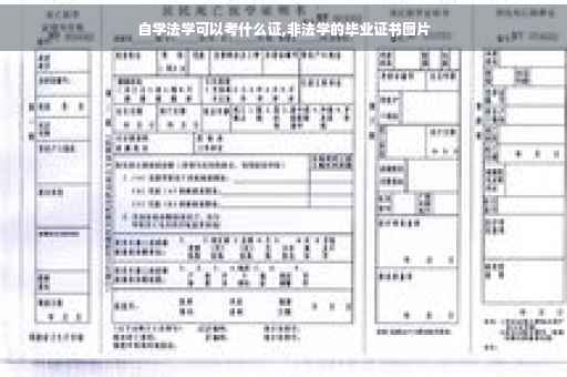 自学法学可以考什么证,非法学的毕业证书图片