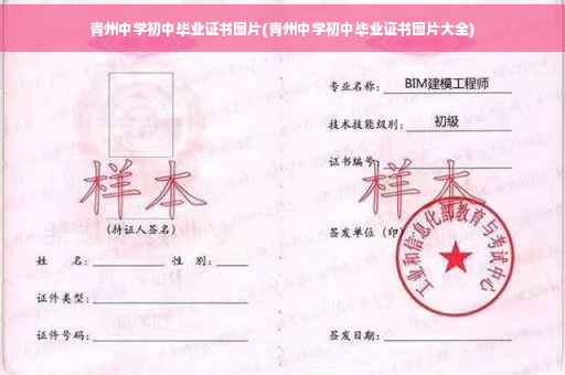 青州中学初中毕业证书图片(青州中学初中毕业证书图片大全)