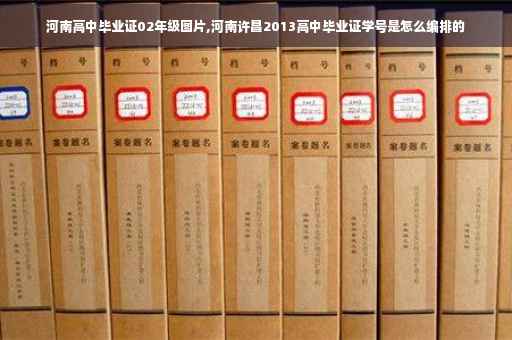 河南高中毕业证02年级图片,河南许昌2013高中毕业证学号是怎么编排的