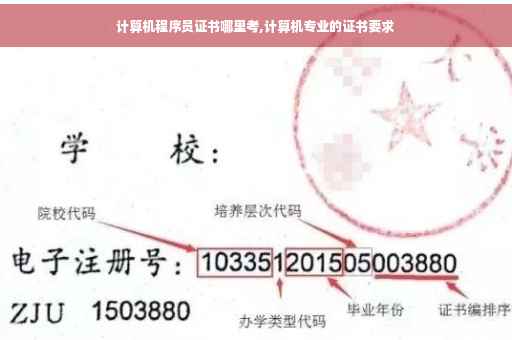 计算机程序员证书哪里考,计算机专业的证书要求