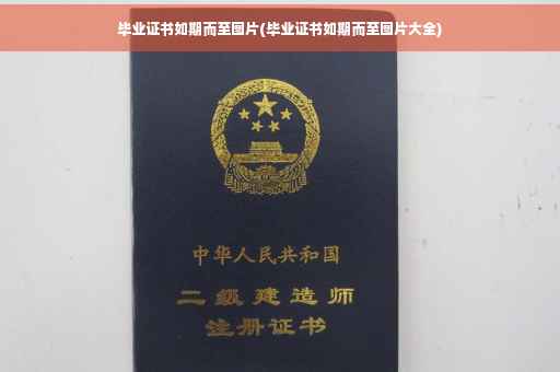 毕业证书如期而至图片(毕业证书如期而至图片大全)