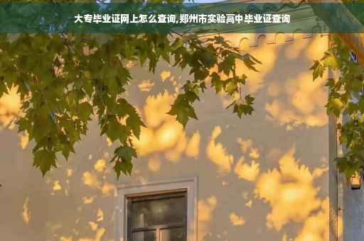 大专毕业证网上怎么查询,郑州市实验高中毕业证查询