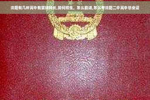沈阳有几所高中有篮球特长,如何招生，怎么能进,怎么考沈阳二中高中毕业证