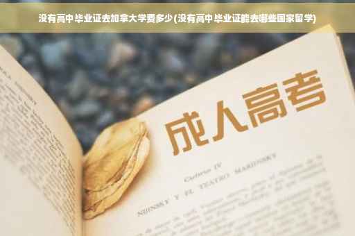没有高中毕业证去加拿大学费多少(没有高中毕业证能去哪些国家留学)