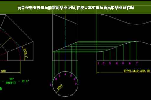 高中没毕业去当兵能拿到毕业证吗,在校大学生当兵要高中毕业证书吗