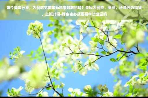 如今美容行业，为何感觉美容师越来越难招聘？是因为薪资、业绩，还是因为销售、上班时间-胖东来必须要高中毕业证吗