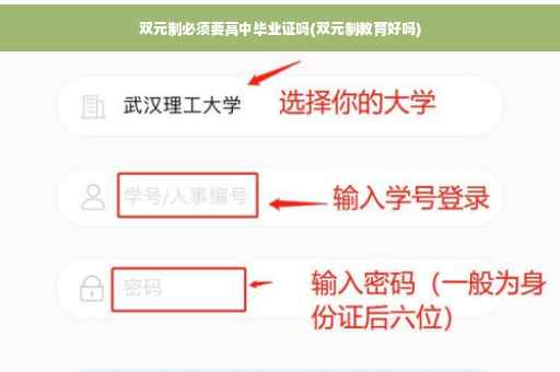 双元制必须要高中毕业证吗(双元制教育好吗)