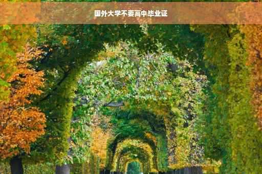国外大学不要高中毕业证