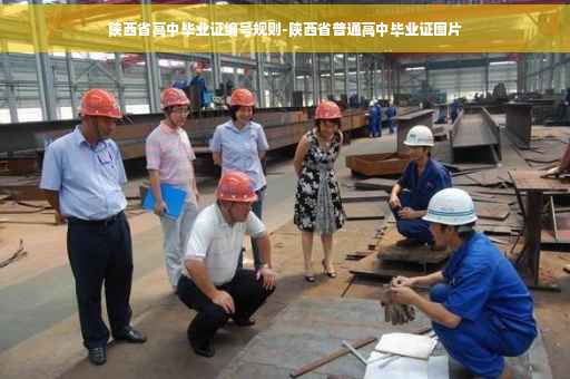 陕西省高中毕业证编号规则-陕西省普通高中毕业证图片