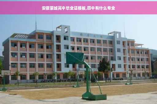 安徽蒙城高中毕业证模板,四中有什么专业