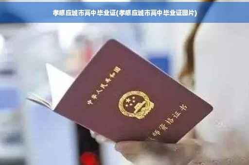 孝感应城市高中毕业证(孝感应城市高中毕业证图片)