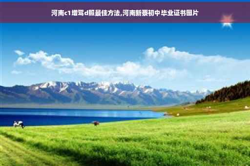 河南c1增驾d照最佳方法,河南新蔡初中毕业证书图片