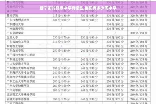普宁市的高级中学有哪些,揭阳有多少间中学