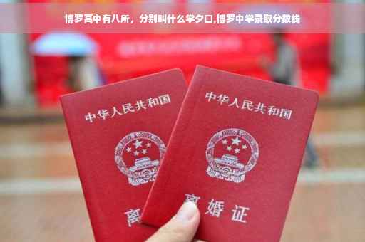 博罗高中有八所，分别叫什么学夕口,博罗中学录取分数线