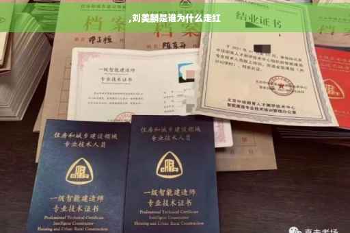 ,刘美麟是谁为什么走红