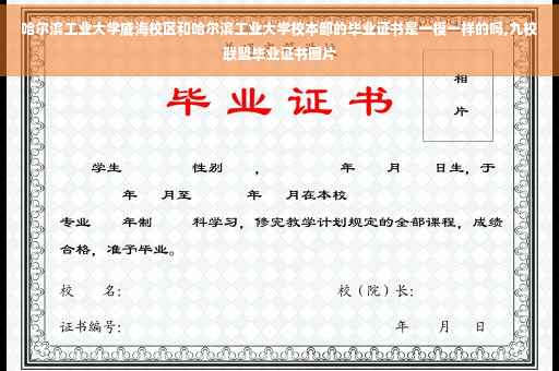 哈尔滨工业大学威海校区和哈尔滨工业大学校本部的毕业证书是一模一样的吗,九校联盟毕业证书图片