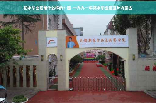 初中毕业证是什么样的？图-一九九一年高中毕业证图片内蒙古
