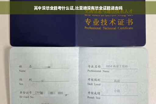 高中没毕业能考什么证,比亚迪没有毕业证能进去吗