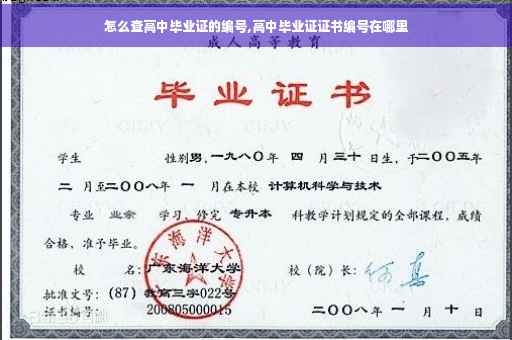 怎么查高中毕业证的编号,高中毕业证证书编号在哪里