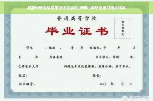 利源光明壹号是市证还是县证,光明小学毕业证书图片样本