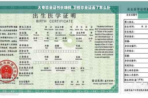 大专毕业证书长啥样,卫校毕业证丢了怎么补