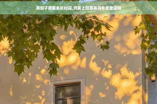 蒸包子要醒多长时间,兴发上班要看高中毕业证吗
