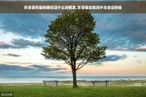 农安县宅基地确权证什么时候发,农安县实验高中毕业证样板 农安县宅基地确权证什么时候发,农安县实验高中毕业证样板