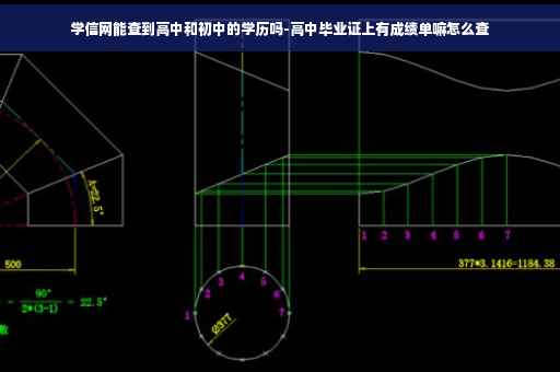 学信网能查到高中和初中的学历吗-高中毕业证上有成绩单嘛怎么查