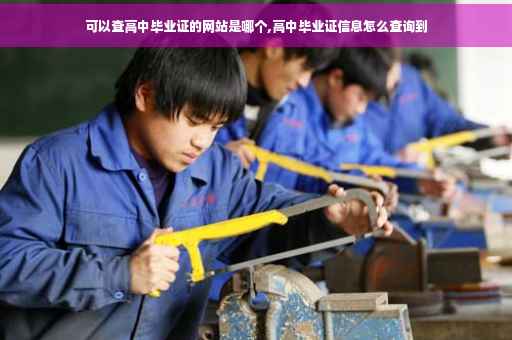 可以查高中毕业证的网站是哪个,高中毕业证信息怎么查询到