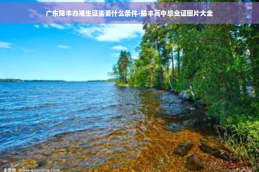 广东陆丰办准生证需要什么条件-陆丰高中毕业证图片大全