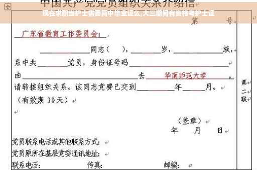 现在求职当护士需要高中毕业证么,大三期间有资格考护士证