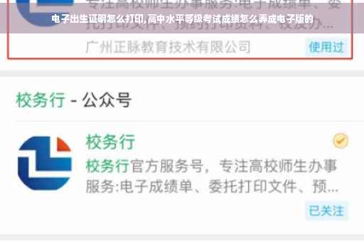 电子出生证明怎么打印,高中水平等级考试成绩怎么弄成电子版的