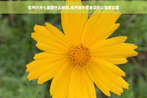 亳州六升七需要什么材料,亳州高中毕业证的公章怎么盖 亳州六升七需要什么材料,亳州高中毕业证的公章怎么盖