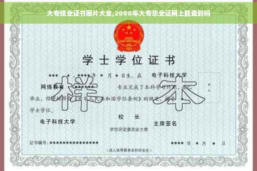 大专结业证书图片大全,2000年大专毕业证网上能查到吗