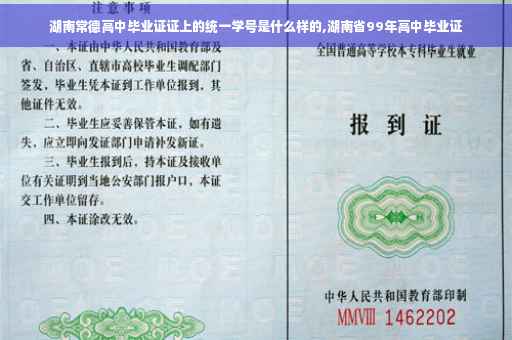 湖南常德高中毕业证证上的统一学号是什么样的,湖南省99年高中毕业证