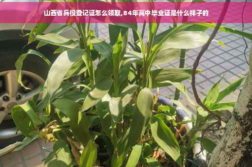 山西省兵役登记证怎么领取,84年高中毕业证是什么样子的