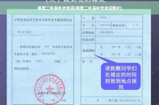 临武二中高中毕业证(临武二中高中毕业证图片)