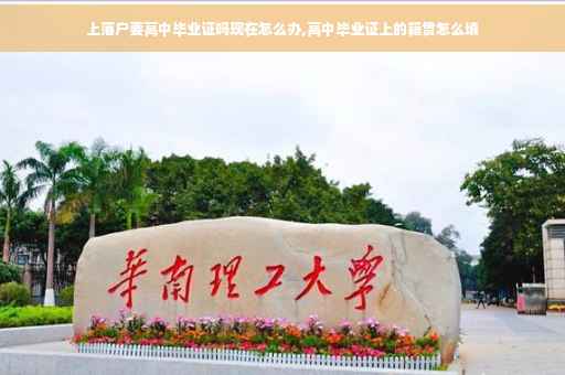 上落户要高中毕业证吗现在怎么办,高中毕业证上的籍贯怎么填