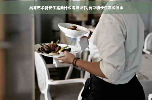 高考艺术特长生需要什么考级证书,高中特长生怎么回事